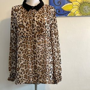 Cotton On-sheer Leopard blouse w/gold buttons.. black collar .. high low top